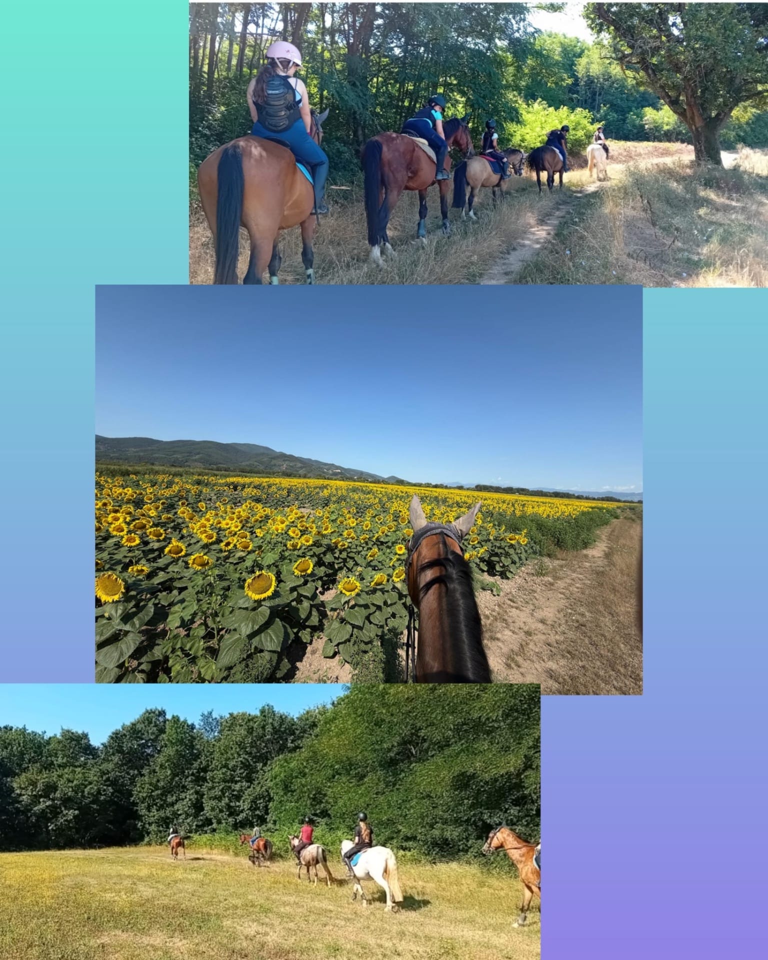Passeggiate nella natura di Orentano
