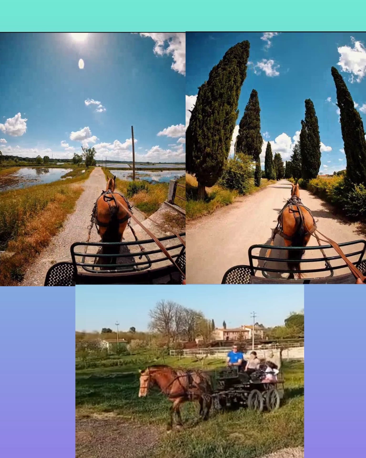 In giro in carrozza!